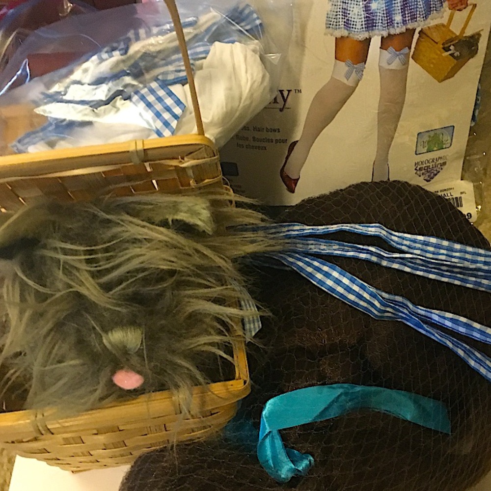 COPY - Women’s Dorothy Costume accessories